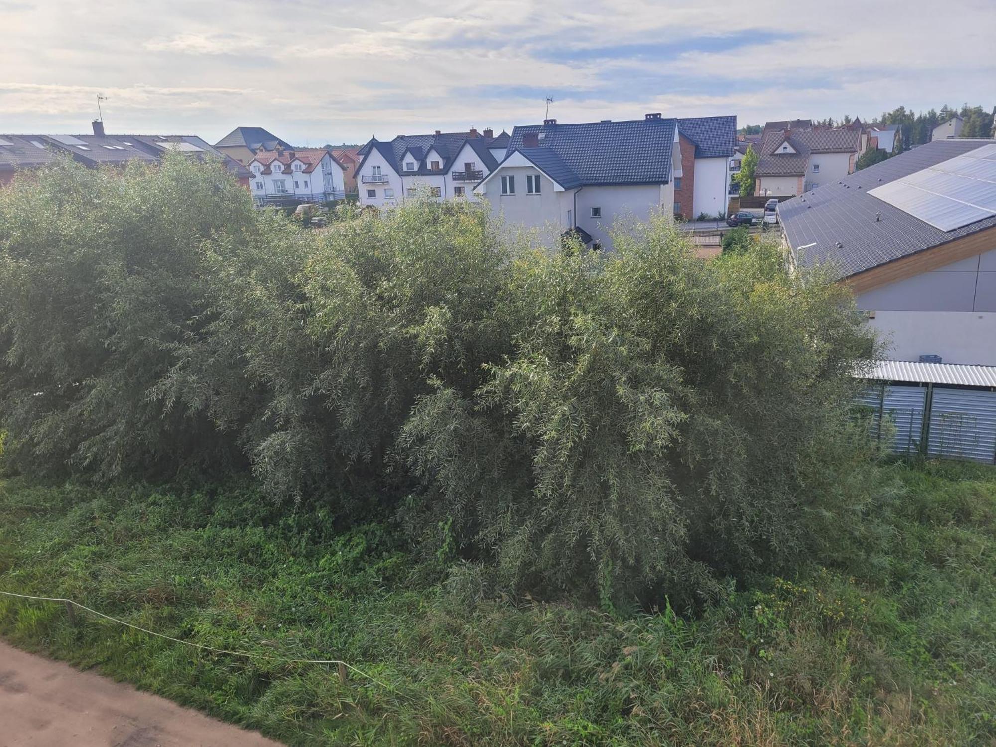 Apartamenty Majer Łeba Exteriör bild